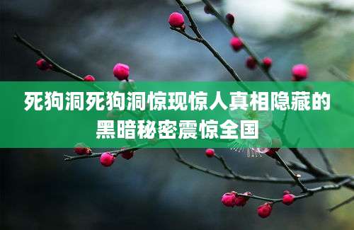 死狗洞死狗洞惊现惊人真相隐藏的黑暗秘密震惊全国