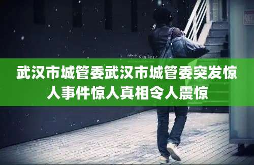 武汉市城管委武汉市城管委突发惊人事件惊人真相令人震惊