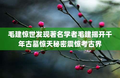 毛建惊世发现著名学者毛建揭开千年古墓惊天秘密震惊考古界