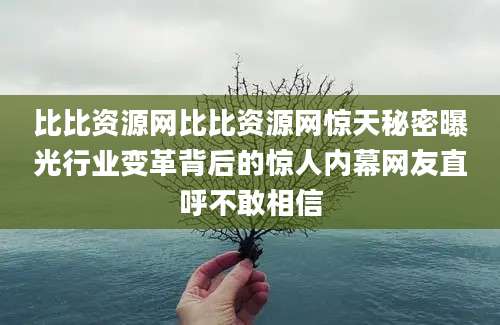 比比资源网比比资源网惊天秘密曝光行业变革背后的惊人内幕网友直呼不敢相信