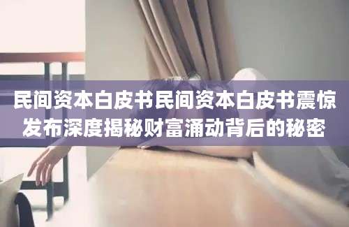 民间资本白皮书民间资本白皮书震惊发布深度揭秘财富涌动背后的秘密