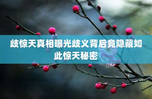 歧惊天真相曝光歧义背后竟隐藏如此惊天秘密