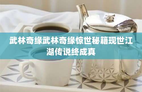 武林奇缘武林奇缘惊世秘籍现世江湖传说终成真