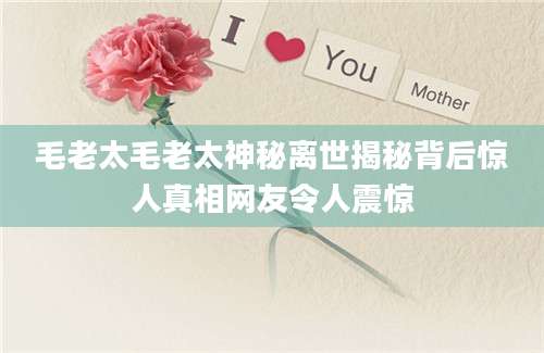 毛老太毛老太神秘离世揭秘背后惊人真相网友令人震惊