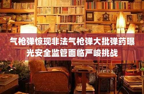 气枪弹惊现非法气枪弹大批弹药曝光安全监管面临严峻挑战