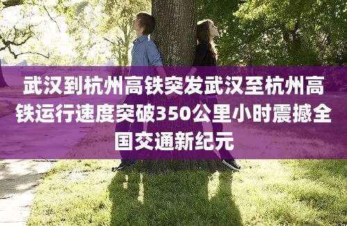 武汉到杭州高铁突发武汉至杭州高铁运行速度突破350公里小时震撼全国交通新纪元