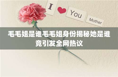 毛毛姐是谁毛毛姐身份揭秘她是谁竟引发全网热议