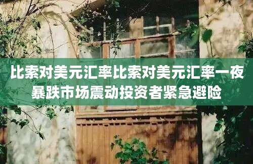比索对美元汇率比索对美元汇率一夜暴跌市场震动投资者紧急避险