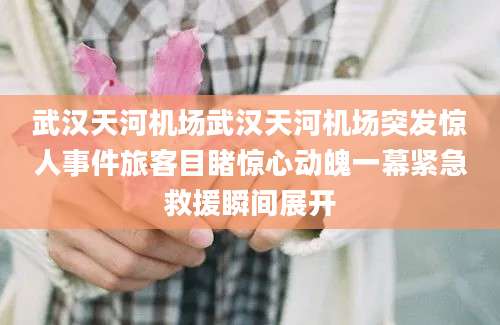 武汉天河机场武汉天河机场突发惊人事件旅客目睹惊心动魄一幕紧急救援瞬间展开