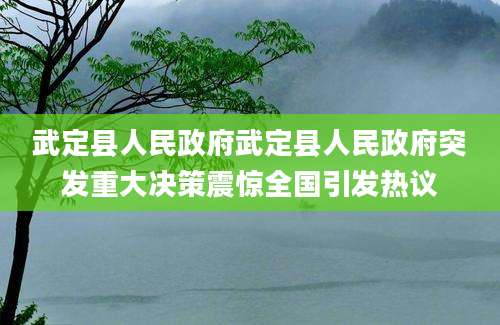 武定县人民政府武定县人民政府突发重大决策震惊全国引发热议