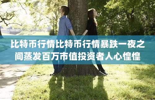 比特币行情比特币行情暴跌一夜之间蒸发百万市值投资者人心惶惶