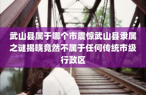 武山县属于哪个市震惊武山县隶属之谜揭晓竟然不属于任何传统市级行政区