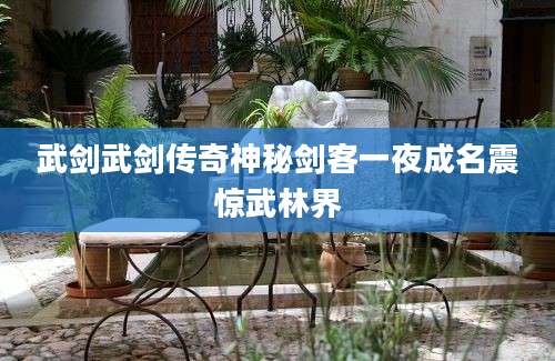 武剑武剑传奇神秘剑客一夜成名震惊武林界