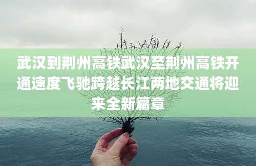 武汉到荆州高铁武汉至荆州高铁开通速度飞驰跨越长江两地交通将迎来全新篇章