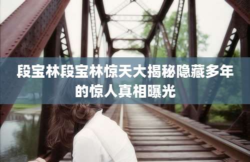 段宝林段宝林惊天大揭秘隐藏多年的惊人真相曝光