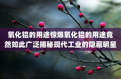 氧化铝的用途惊爆氧化铝的用途竟然如此广泛揭秘现代工业的隐藏明星