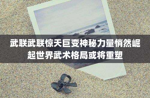 武联武联惊天巨变神秘力量悄然崛起世界武术格局或将重塑