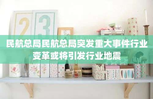 民航总局民航总局突发重大事件行业变革或将引发行业地震