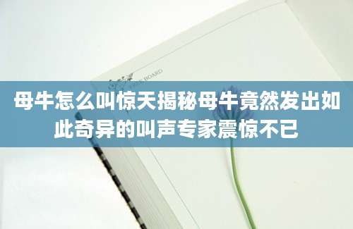 母牛怎么叫惊天揭秘母牛竟然发出如此奇异的叫声专家震惊不已