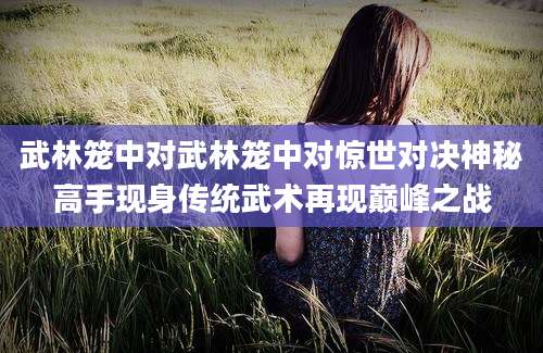 武林笼中对武林笼中对惊世对决神秘高手现身传统武术再现巅峰之战