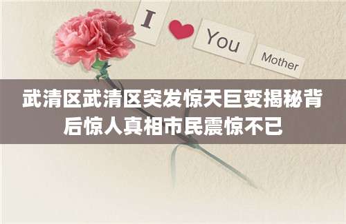 武清区武清区突发惊天巨变揭秘背后惊人真相市民震惊不已