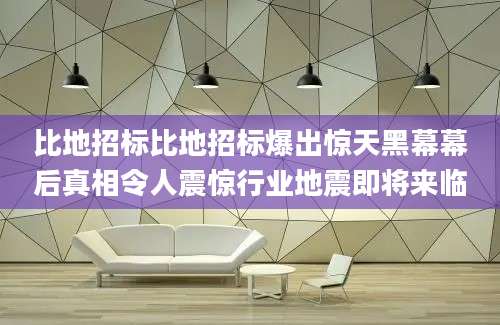 比地招标比地招标爆出惊天黑幕幕后真相令人震惊行业地震即将来临