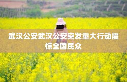 武汉公安武汉公安突发重大行动震惊全国民众