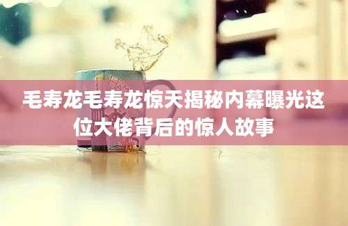 毛寿龙毛寿龙惊天揭秘内幕曝光这位大佬背后的惊人故事