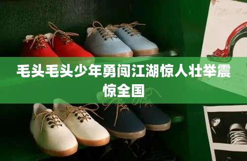 毛头毛头少年勇闯江湖惊人壮举震惊全国