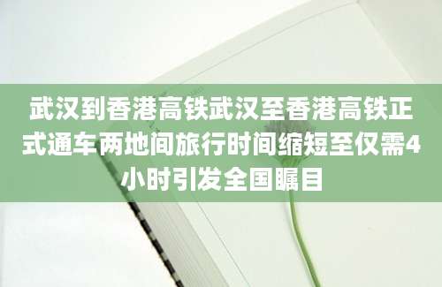 武汉到香港高铁武汉至香港高铁正式通车两地间旅行时间缩短至仅需4小时引发全国瞩目