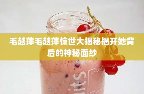 毛越萍毛越萍惊世大揭秘揭开她背后的神秘面纱