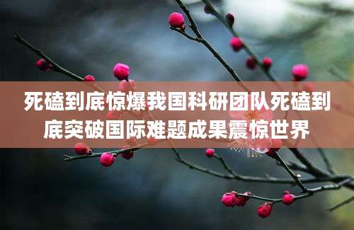 死磕到底惊爆我国科研团队死磕到底突破国际难题成果震惊世界