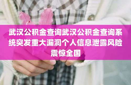 武汉公积金查询武汉公积金查询系统突发重大漏洞个人信息泄露风险震惊全国