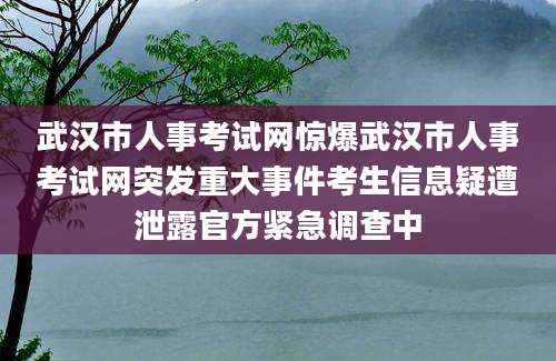 武汉市人事考试网惊爆武汉市人事考试网突发重大事件考生信息疑遭泄露官方紧急调查中