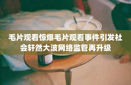 毛片观看惊爆毛片观看事件引发社会轩然大波网络监管再升级