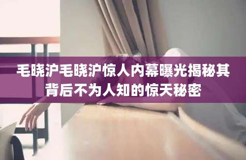 毛晓沪毛晓沪惊人内幕曝光揭秘其背后不为人知的惊天秘密