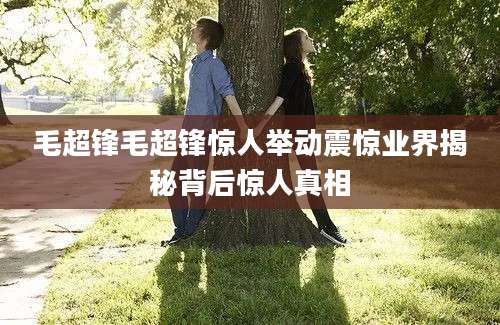 毛超锋毛超锋惊人举动震惊业界揭秘背后惊人真相