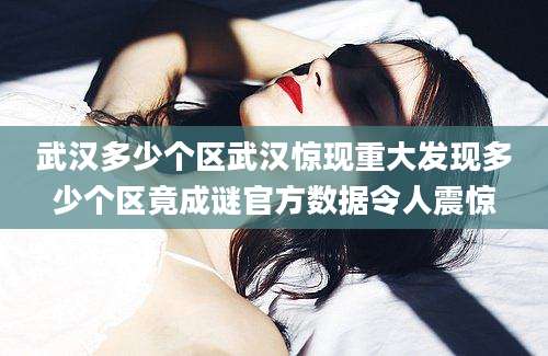 武汉多少个区武汉惊现重大发现多少个区竟成谜官方数据令人震惊