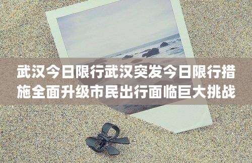武汉今日限行武汉突发今日限行措施全面升级市民出行面临巨大挑战