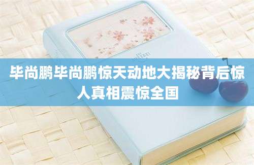 毕尚鹏毕尚鹏惊天动地大揭秘背后惊人真相震惊全国