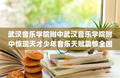 武汉音乐学院附中武汉音乐学院附中惊现天才少年音乐天赋震惊全国