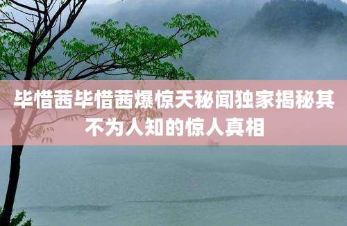毕惜茜毕惜茜爆惊天秘闻独家揭秘其不为人知的惊人真相