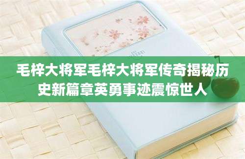 毛梓大将军毛梓大将军传奇揭秘历史新篇章英勇事迹震惊世人