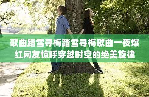 歌曲踏雪寻梅踏雪寻梅歌曲一夜爆红网友惊呼穿越时空的绝美旋律