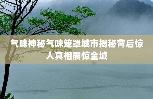 气味神秘气味笼罩城市揭秘背后惊人真相震惊全城