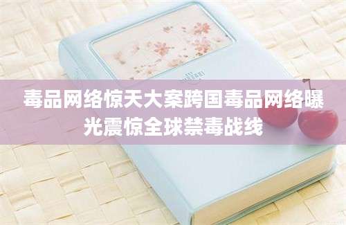 毒品网络惊天大案跨国毒品网络曝光震惊全球禁毒战线