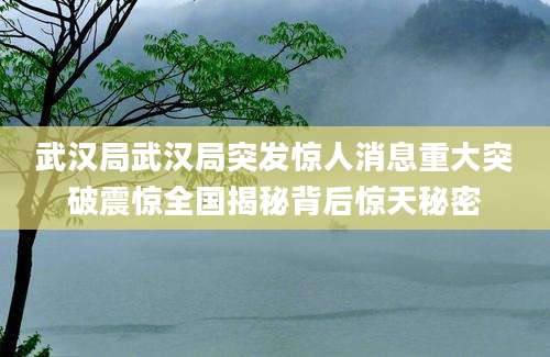 武汉局武汉局突发惊人消息重大突破震惊全国揭秘背后惊天秘密