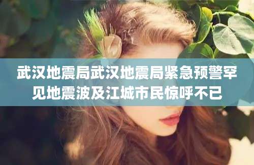 武汉地震局武汉地震局紧急预警罕见地震波及江城市民惊呼不已