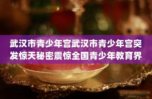 武汉市青少年宫武汉市青少年宫突发惊天秘密震惊全国青少年教育界