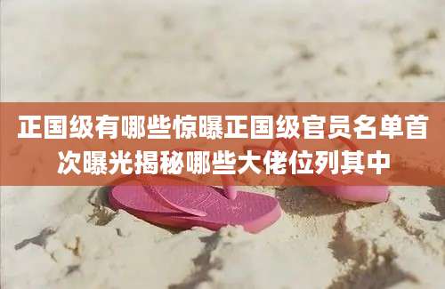 正国级有哪些惊曝正国级官员名单首次曝光揭秘哪些大佬位列其中